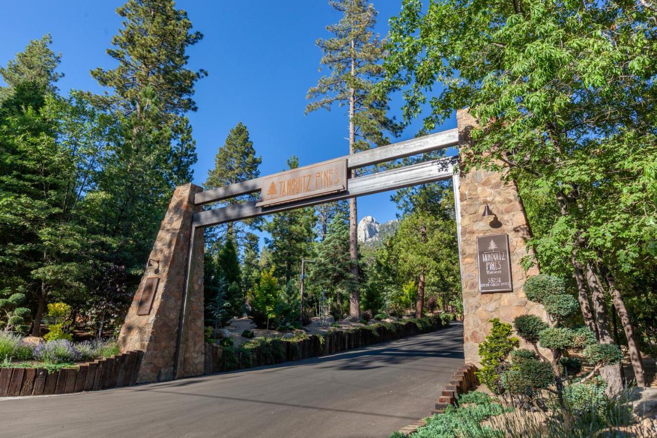 Hotel Tahquitz Pines Retreat Idyllwild Zewnętrze zdjęcie